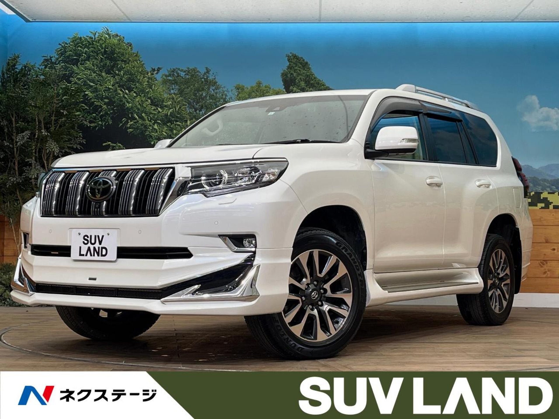 TOYOTA LAND CRUISER PRADO - View 1