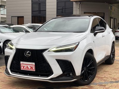 LEXUS NX - 1
