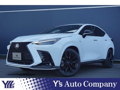 LEXUS NX - 1