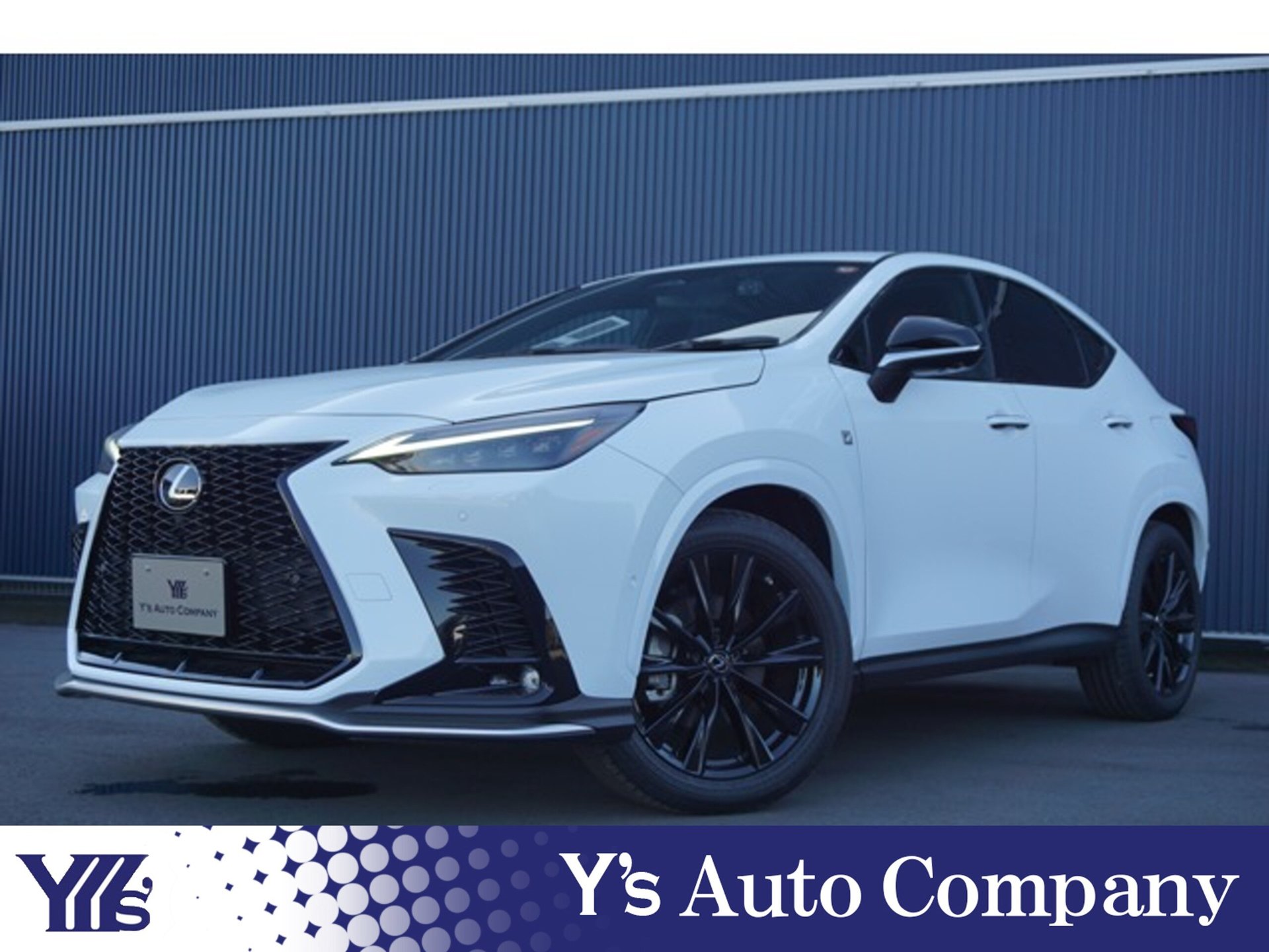LEXUS NX - View 1