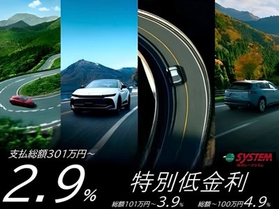 TOYOTA LAND CRUISER PRADO - 2