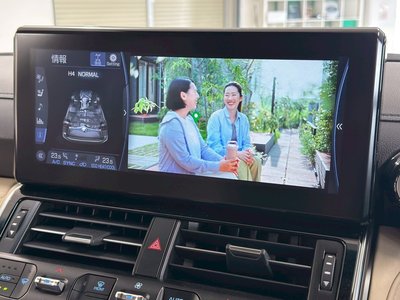2024 Toyota LAND CRUISER 300 缩略图 31