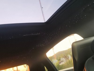 2021 Mercedes-BENZ S-CLASS 缩略图 14
