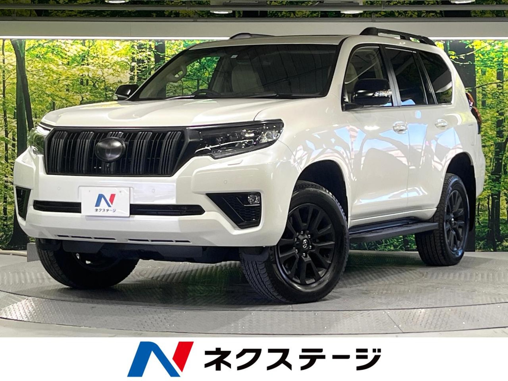 TOYOTA LAND CRUISER PRADO - View 1