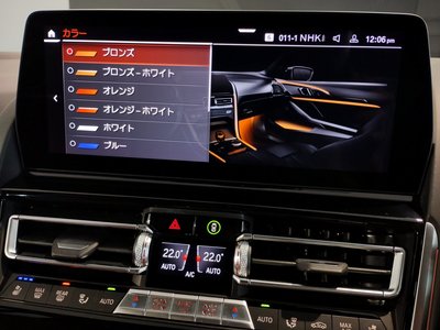 2025 BMW 8 SERIES GRAN COUPE — миниатюра 62