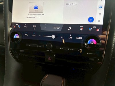 2025 Toyota ALPHARD 缩略图 20