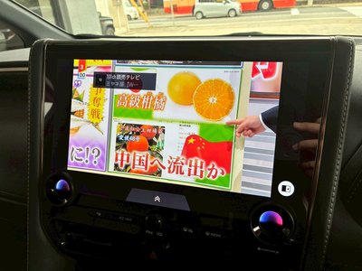 2025 Toyota ALPHARD 缩略图 18