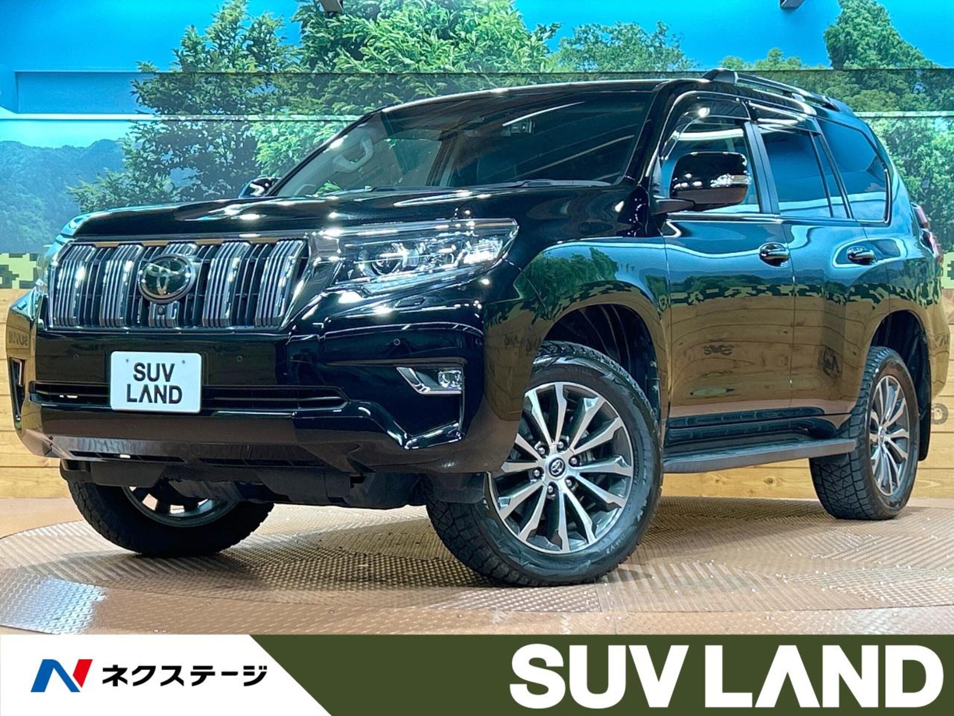 TOYOTA LAND CRUISER PRADO - View 1