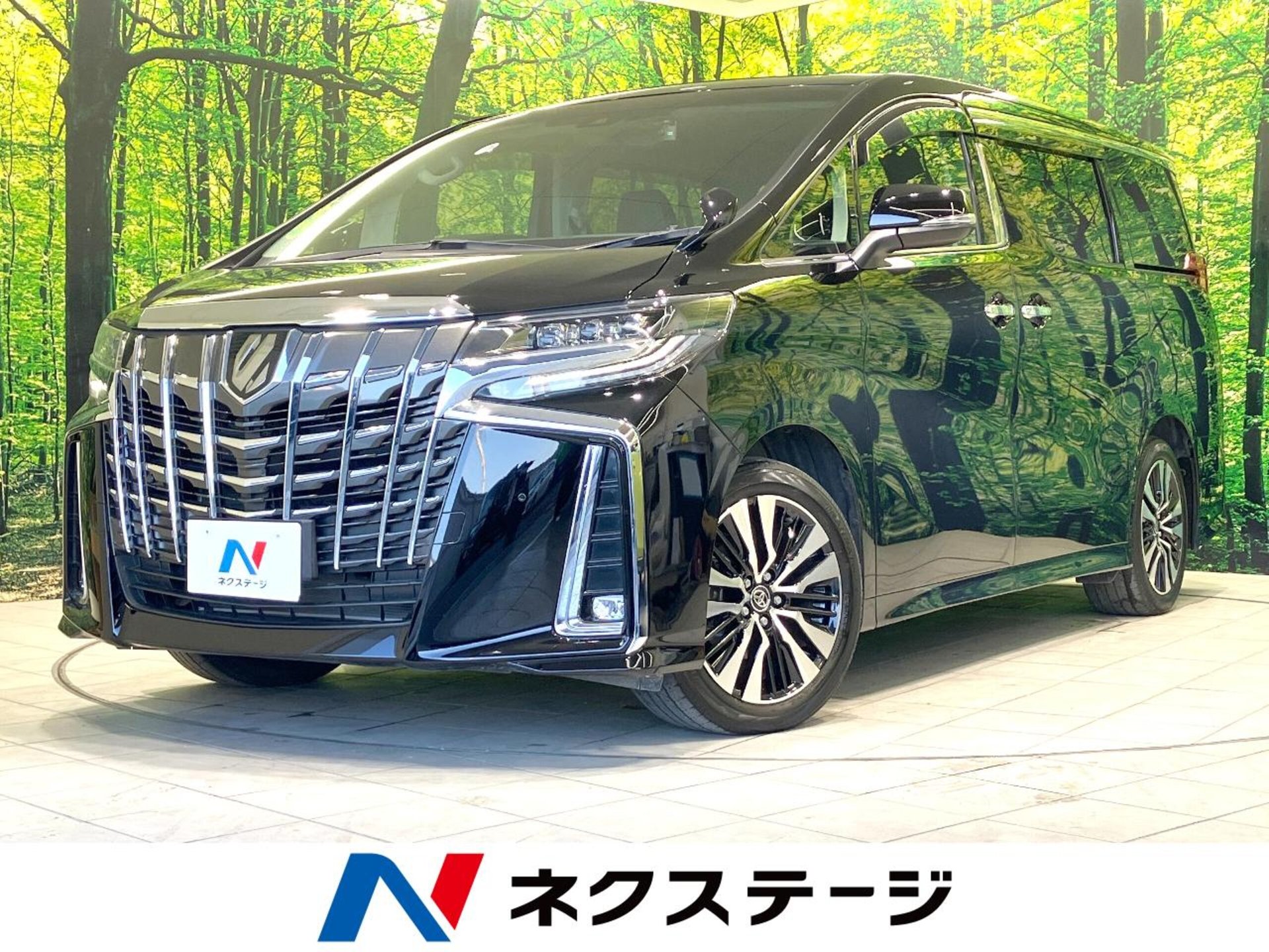 TOYOTA ALPHARD - View 1