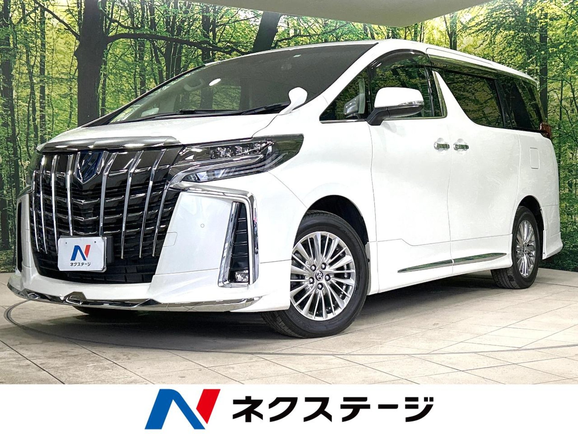 TOYOTA ALPHARD - View 1