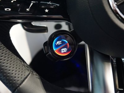 صورة مصغرة 55 لـ 2025 Mercedes-BENZ GT AMG