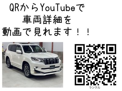 2022 Toyota LAND CRUISER PRADO 照片 8