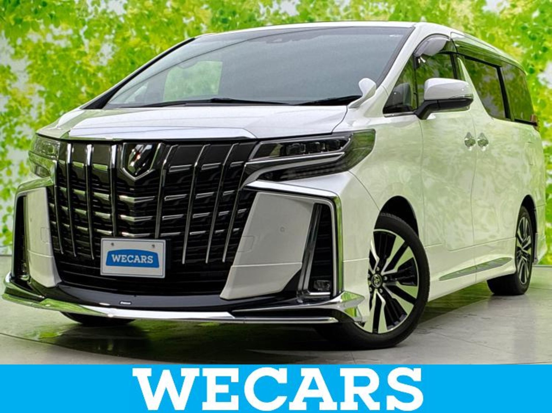 TOYOTA ALPHARD - View 1