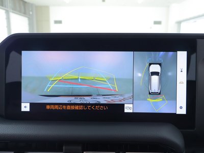 2024 Toyota LAND CRUISER 250 photo 9