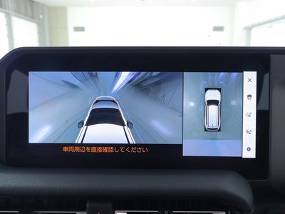 2024 Toyota LAND CRUISER 250 photo 10