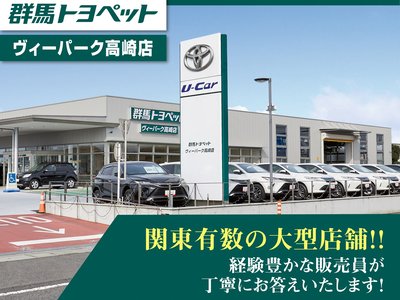2024 Toyota LAND CRUISER 250 photo 4