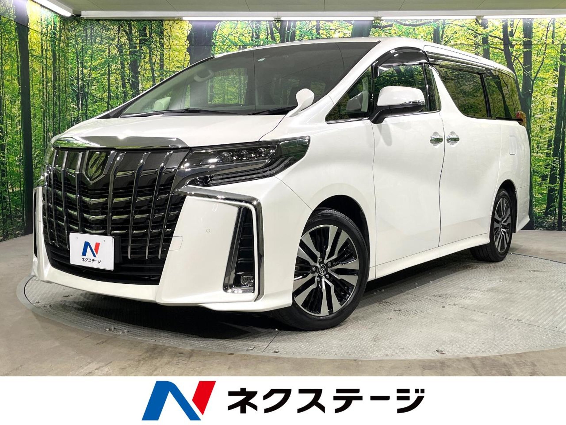 TOYOTA ALPHARD - View 1