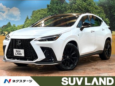 LEXUS NX - 1