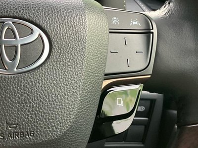 2025 Toyota ALPHARD 缩略图 29