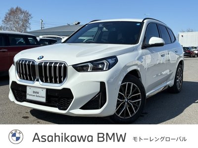 BMW X1 - 1