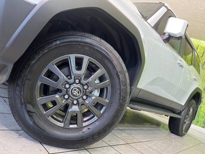 2025 Toyota LAND CRUISER 250 缩略图 22
