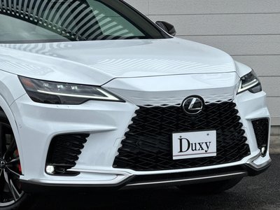 LEXUS RX - 6