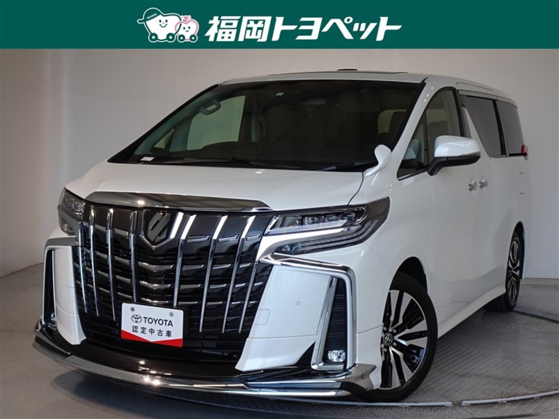 TOYOTA ALPHARD - View 1
