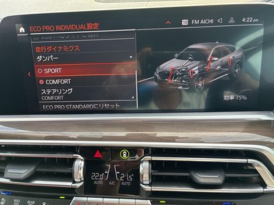 2022 BMW X6 缩略图 121