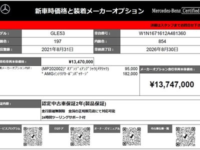 MERCEDES-BENZ GLE AMG - 2