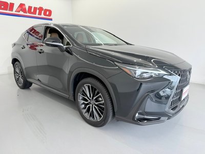 2025 Lexus NX thumbnail 41