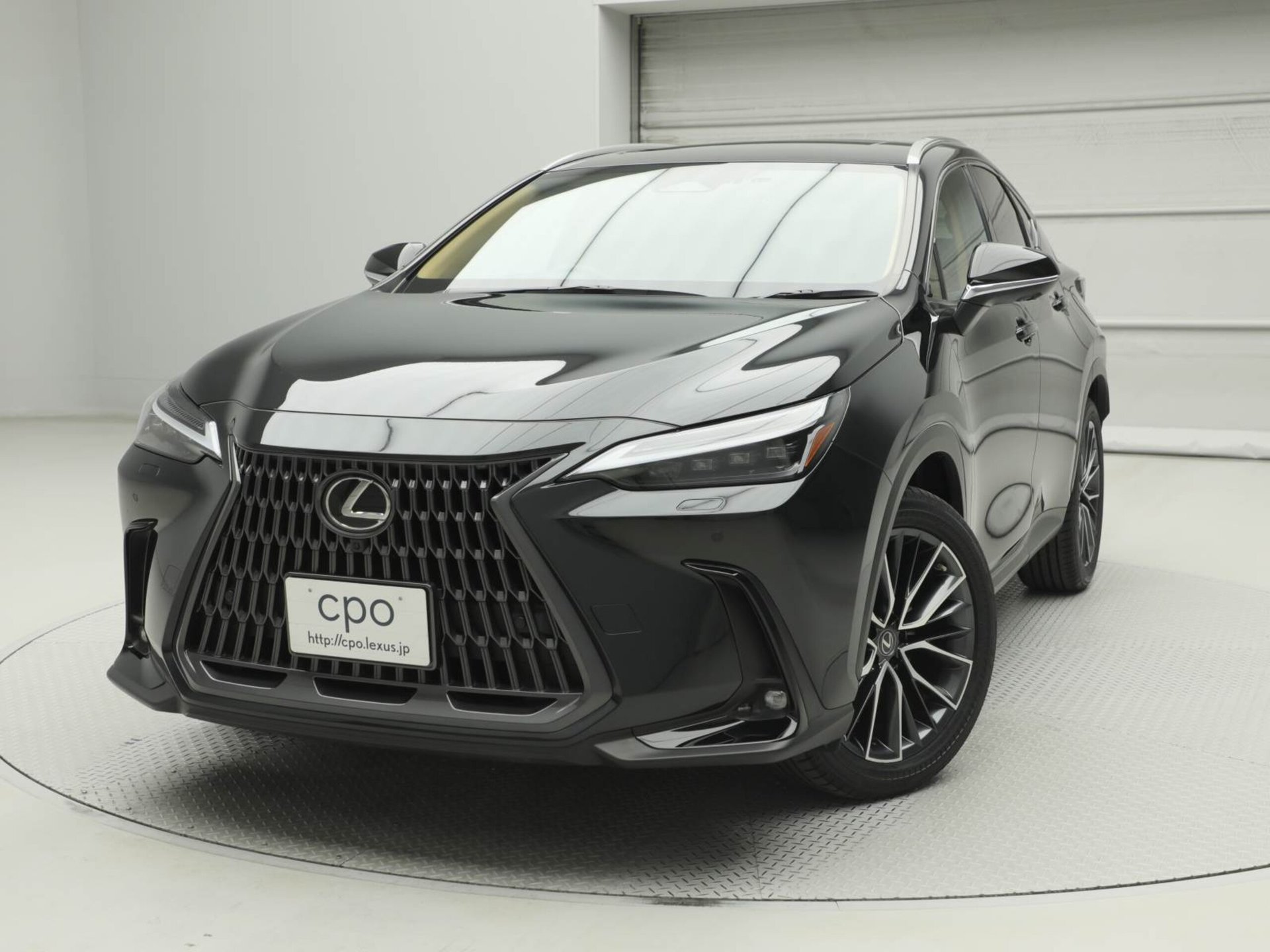 LEXUS NX - View 1