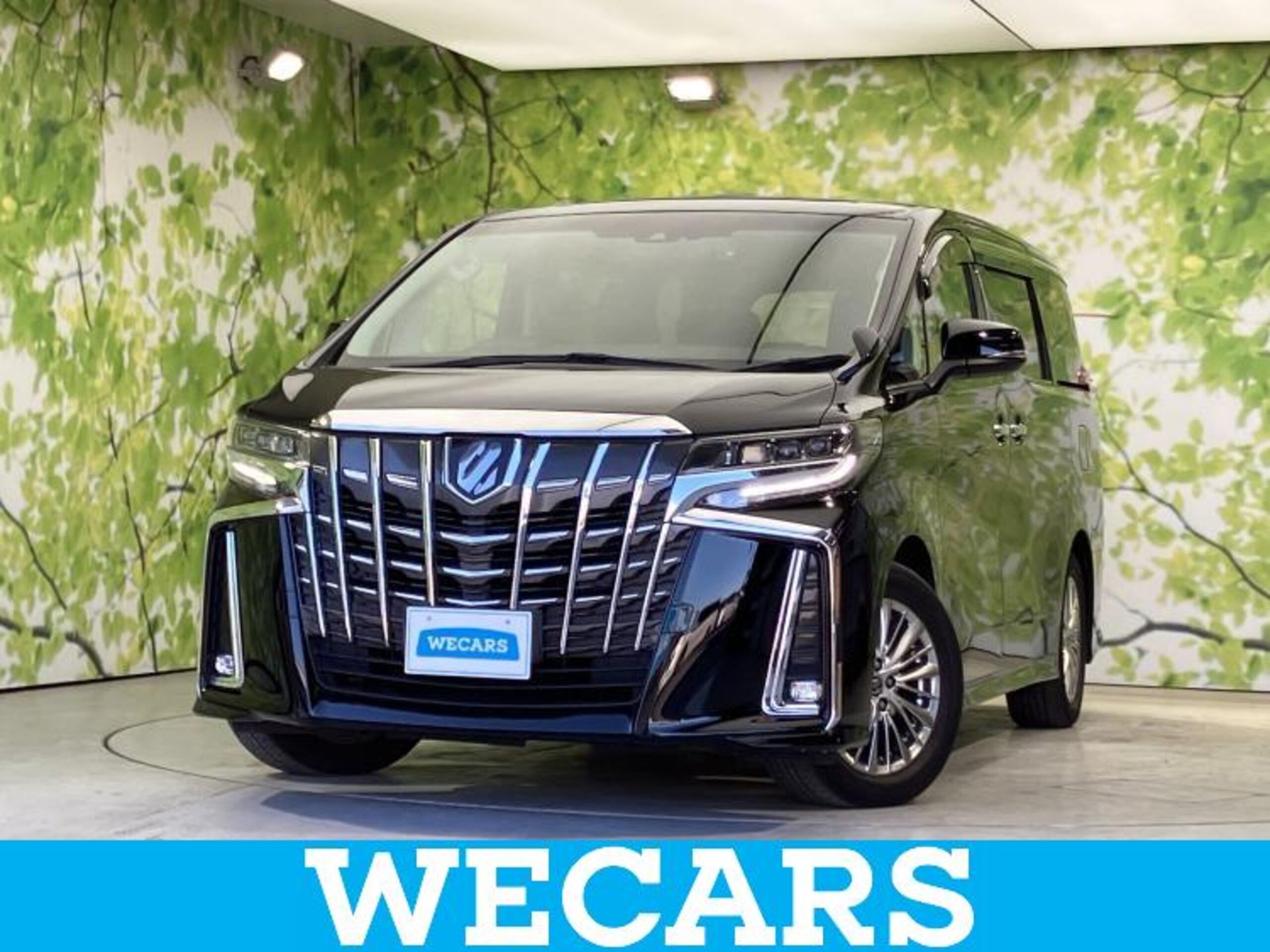 TOYOTA ALPHARD - View 1