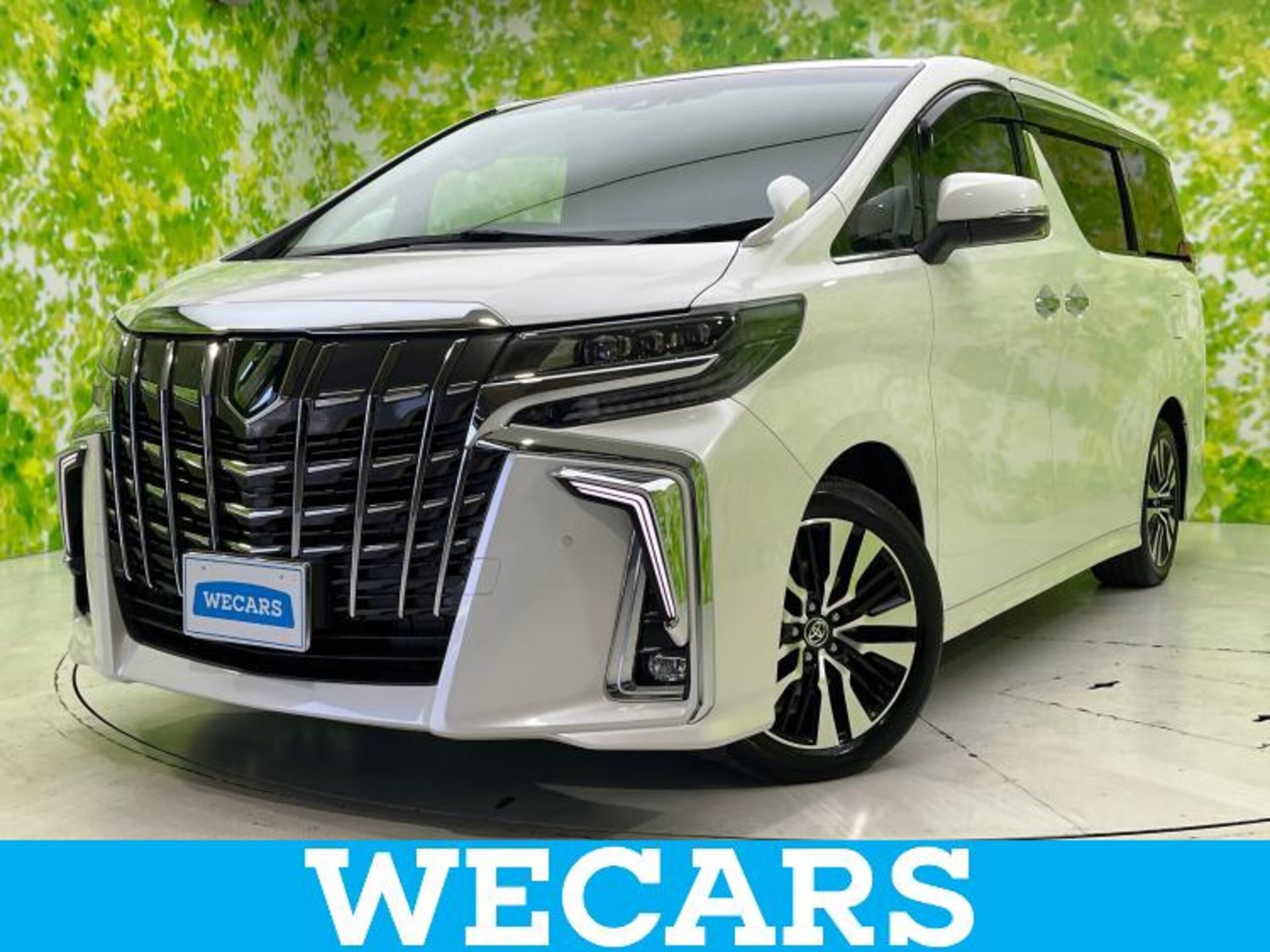 TOYOTA ALPHARD - View 1