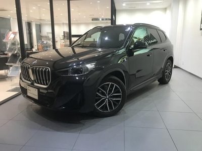 BMW X1 - 1
