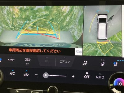 2024 Toyota ALPHARD 缩略图 14