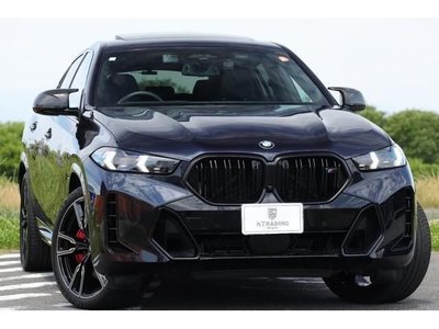 BMW X6 - 1