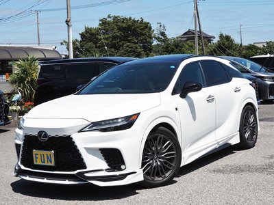 2024 Lexus RX 照片 4