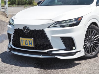 2024 Lexus RX 照片 10