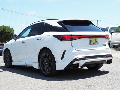 2024 Lexus RX 照片 6