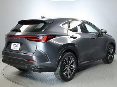 LEXUS NX - 6