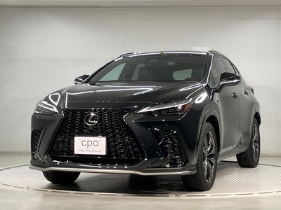 LEXUS NX - 1