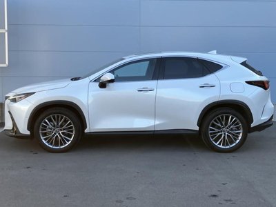 LEXUS NX - 2
