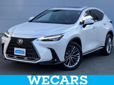 LEXUS NX - 1