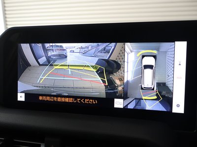 TOYOTA LAND CRUISER 250 - 8