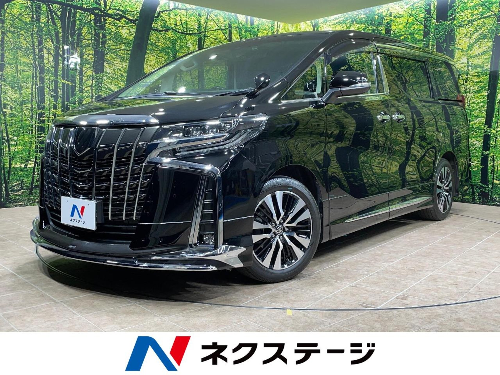 TOYOTA ALPHARD - View 1