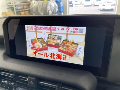 TOYOTA LAND CRUISER 250 - 5