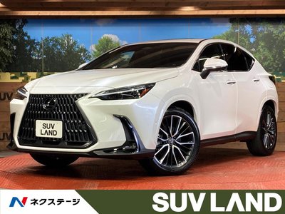 LEXUS NX - 1