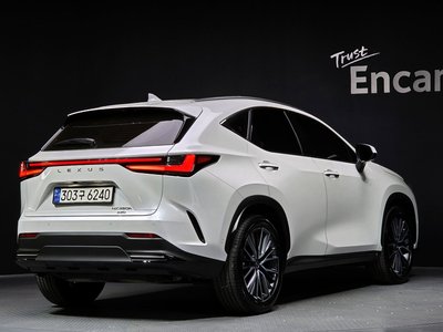 LEXUS NX - 4