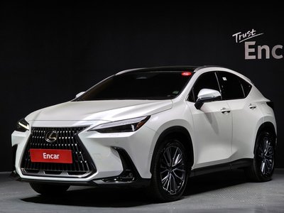 LEXUS NX - 1