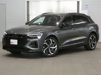 2025 AUDI Q8 E-TRON — фото 1